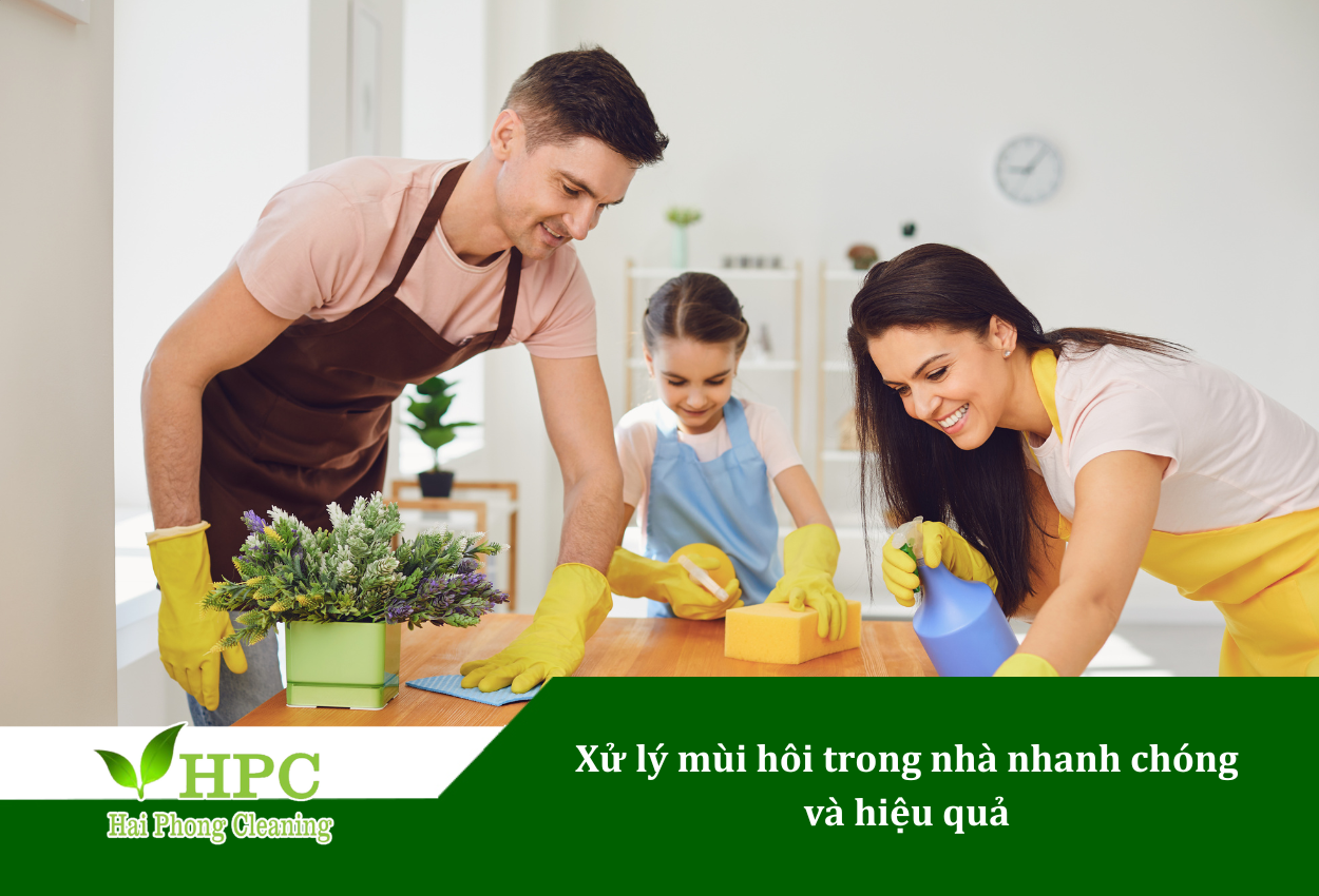 Xử lý mùi hôi trong nhà nhanh, hiệu quả