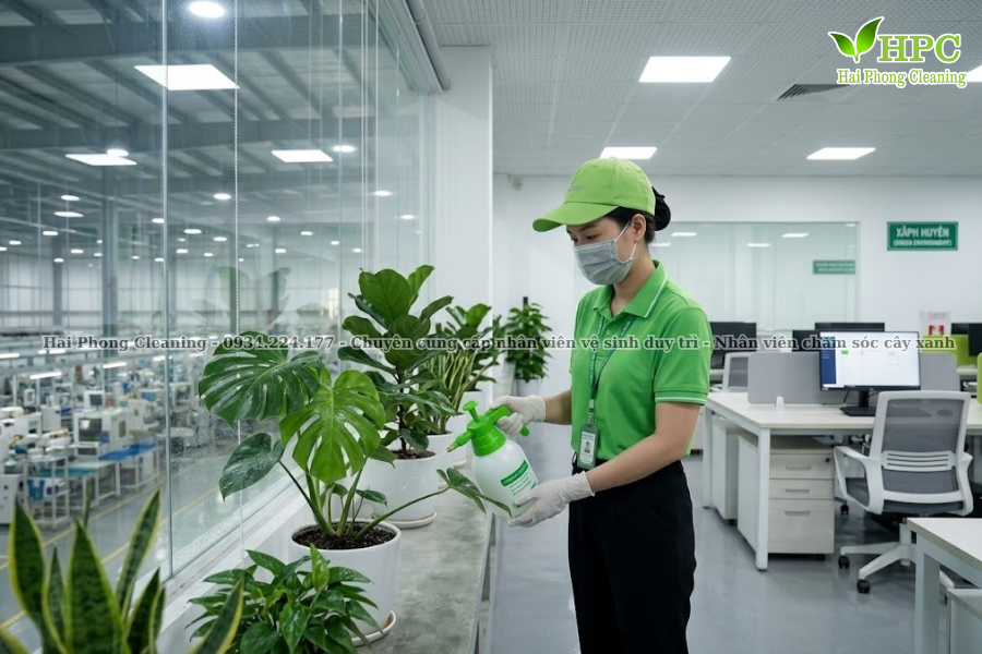 Dịch vụ tạp vụ chuyên nghiệp tại Quảng Ninh
