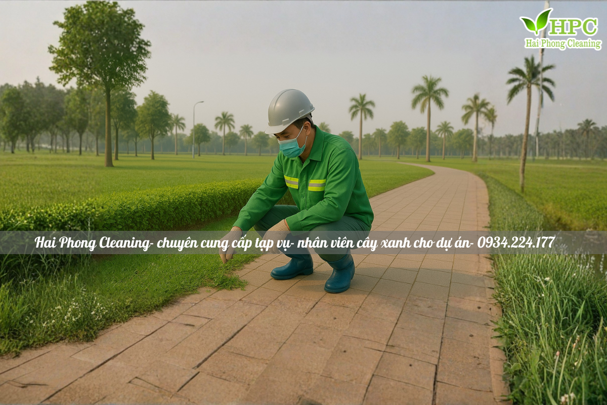 Dịch vụ chăm sóc cây xanh định kỳ