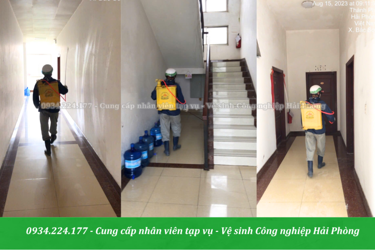 Diệt côn trùng Hải Phòng